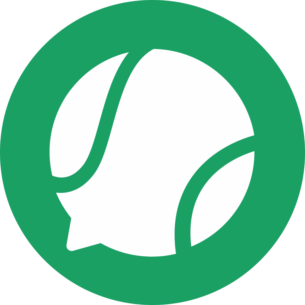 Playo logo